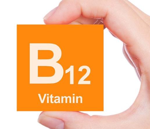 비타민b12 음식