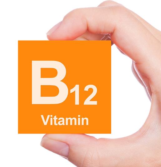 비타민b12 음식