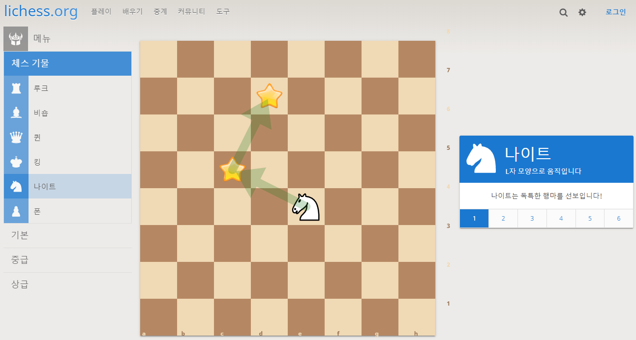 체스 배우기